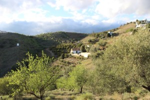 Campo5